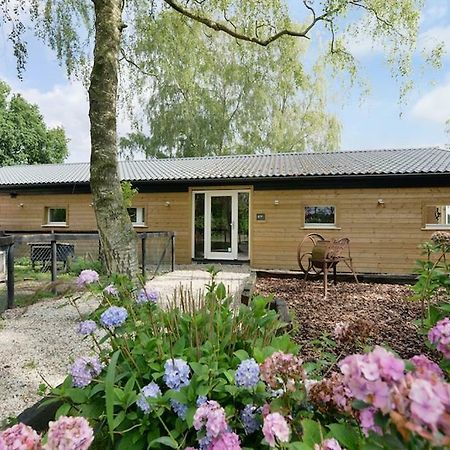 Bos En Beek Bed & Breakfast Ulvenhout Luaran gambar
